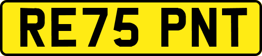 RE75PNT