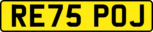 RE75POJ