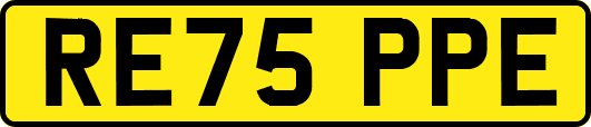 RE75PPE