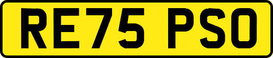 RE75PSO