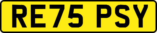 RE75PSY