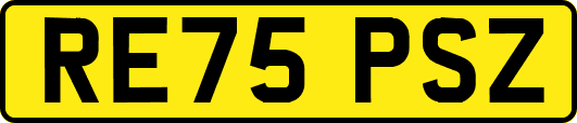 RE75PSZ