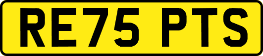 RE75PTS