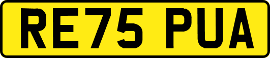 RE75PUA