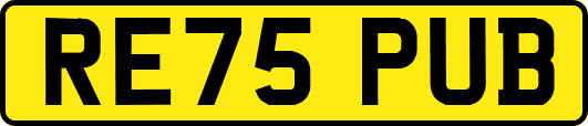RE75PUB