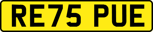 RE75PUE