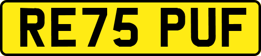 RE75PUF