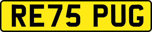 RE75PUG