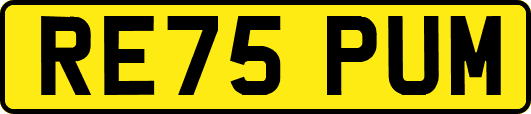 RE75PUM