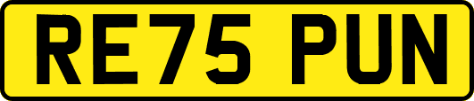 RE75PUN