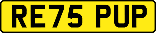 RE75PUP