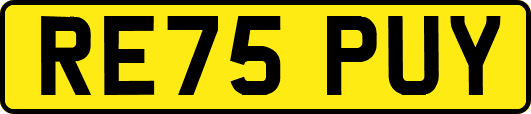 RE75PUY