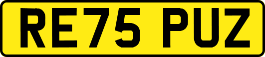 RE75PUZ