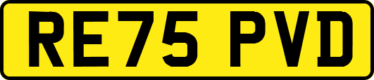 RE75PVD