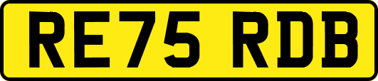 RE75RDB