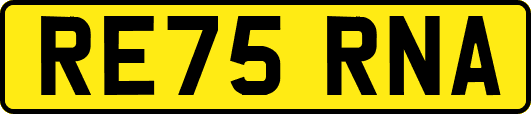 RE75RNA