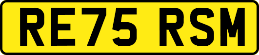 RE75RSM