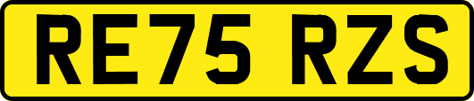 RE75RZS