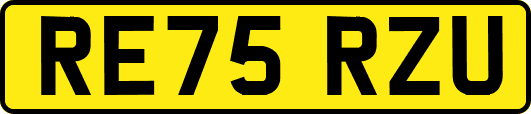 RE75RZU