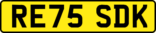 RE75SDK