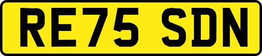 RE75SDN