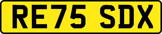 RE75SDX