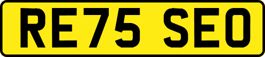 RE75SEO