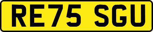 RE75SGU