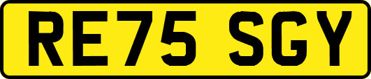 RE75SGY