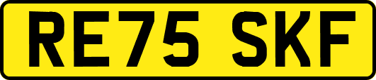 RE75SKF