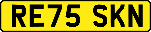RE75SKN
