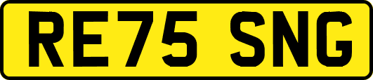 RE75SNG
