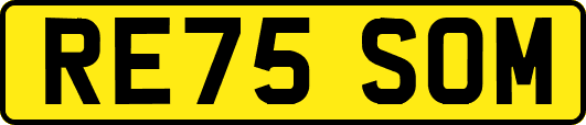 RE75SOM
