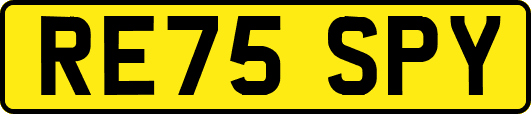 RE75SPY