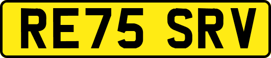 RE75SRV