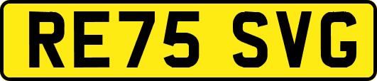 RE75SVG
