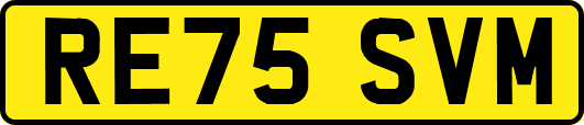 RE75SVM