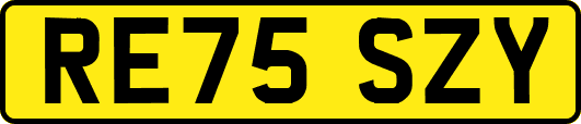 RE75SZY