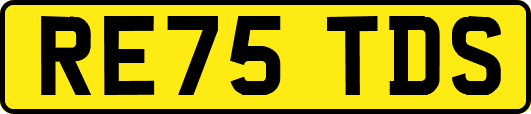 RE75TDS