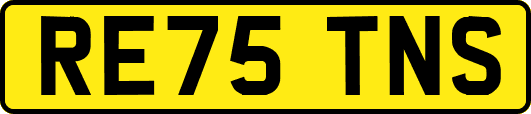 RE75TNS