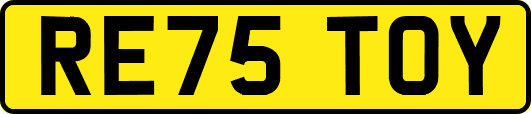 RE75TOY