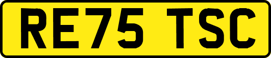 RE75TSC