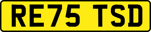 RE75TSD