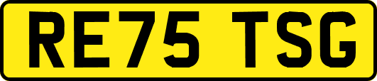 RE75TSG