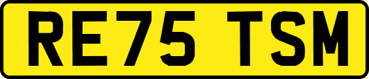 RE75TSM