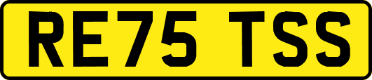 RE75TSS