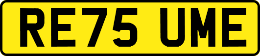 RE75UME