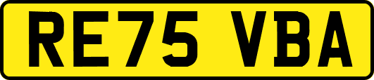 RE75VBA