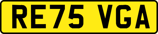 RE75VGA