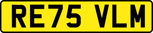 RE75VLM